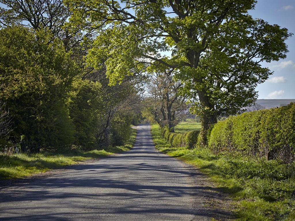 Lily Hill Farm Panzió Barnard Castle Kültér fotó