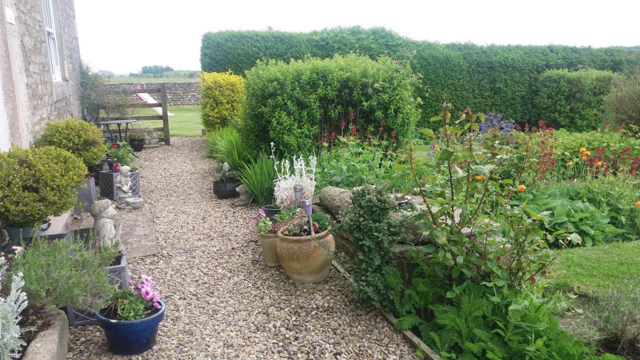 Lily Hill Farm Panzió Barnard Castle Kültér fotó