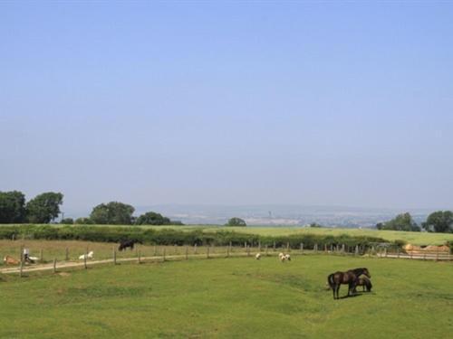Lily Hill Farm Panzió Barnard Castle Kültér fotó